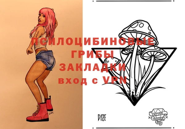 МДПВ Абдулино